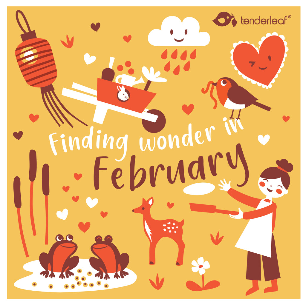 Finding Wonder in February