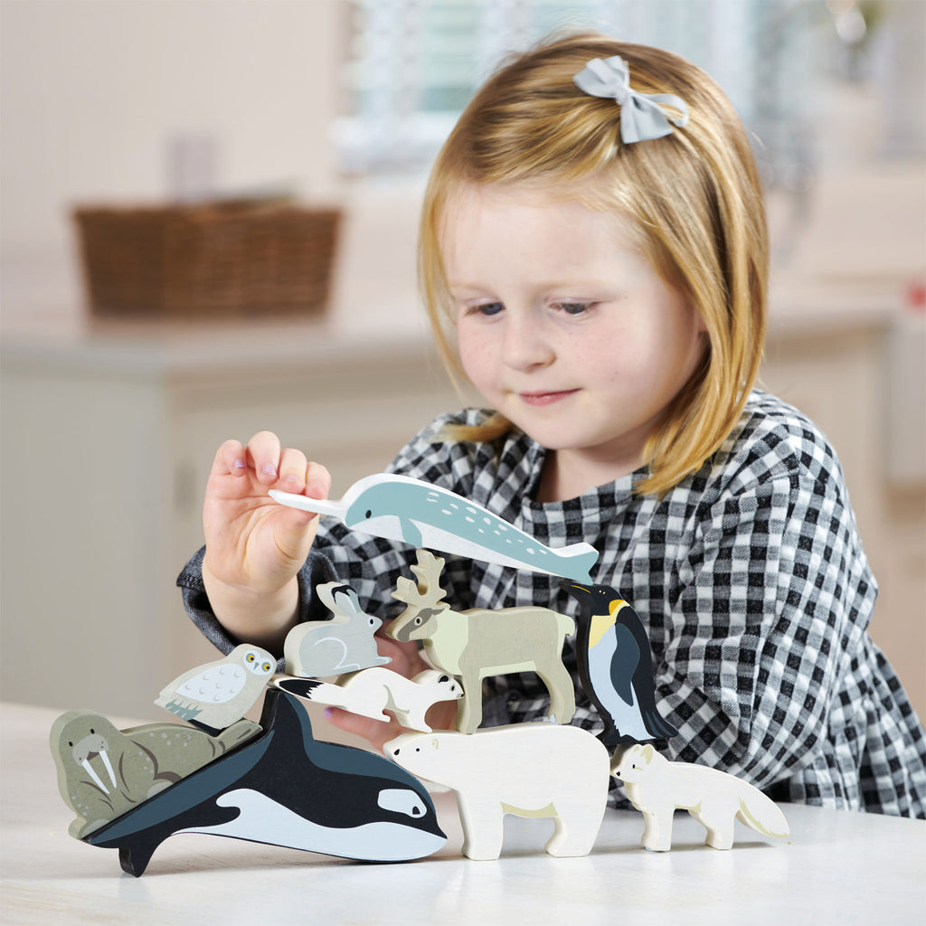 Unlock the World of Learning with Educational Toys