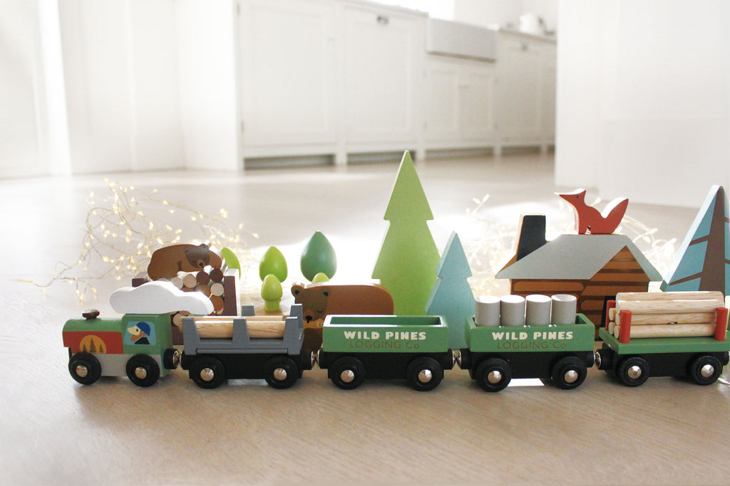 Laying the tracks: wooden trains and schemas