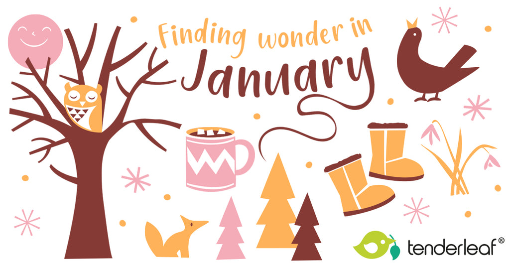 Finding Wonder in January
