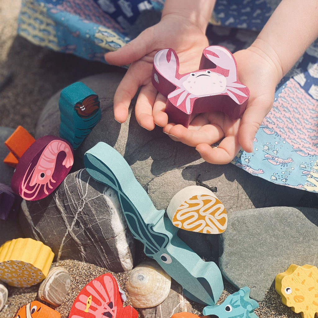 Noah's Shape Sorter Ark – Tender Leaf