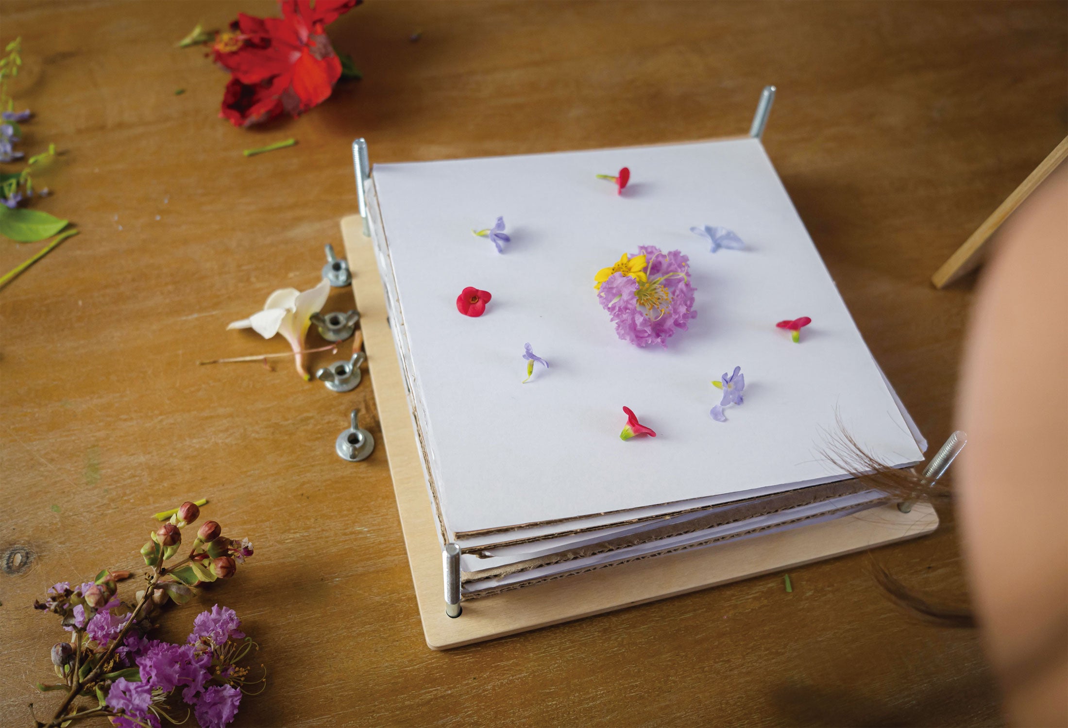 DICHA Microwave Flower Press Book-Plant Leaf Herb Press-Beginners Flow –  ToysCentral - Europe