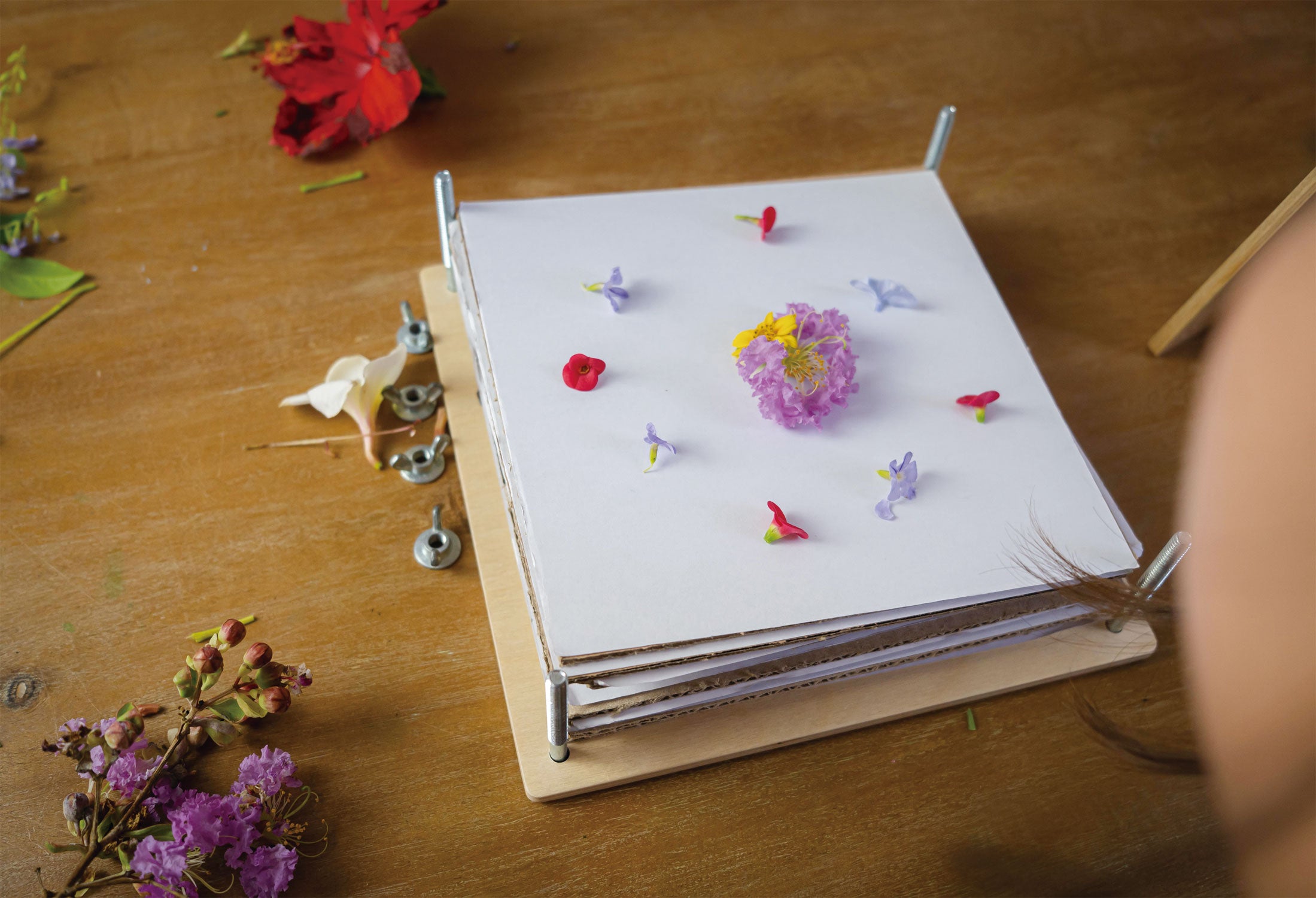 Leaf and Flower Press - Northwest Nature Shop