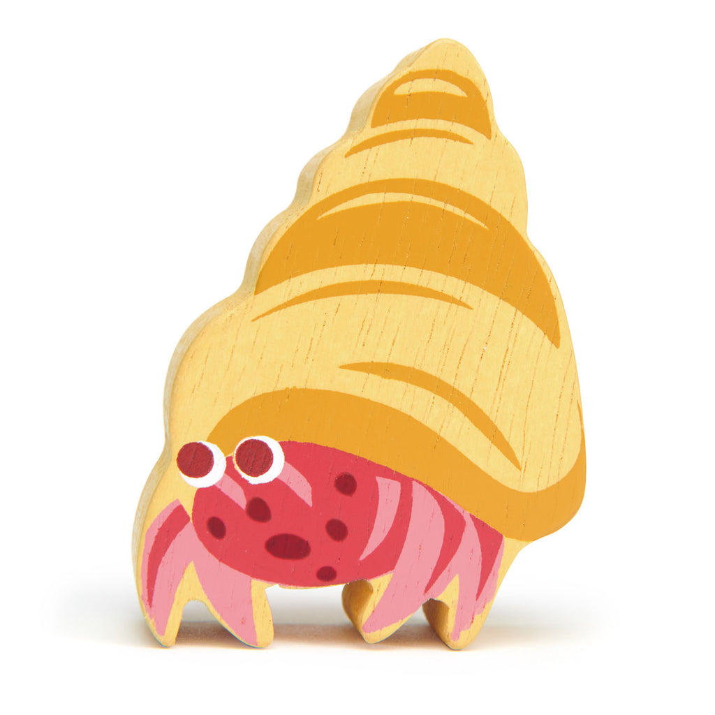 Hermit Crab