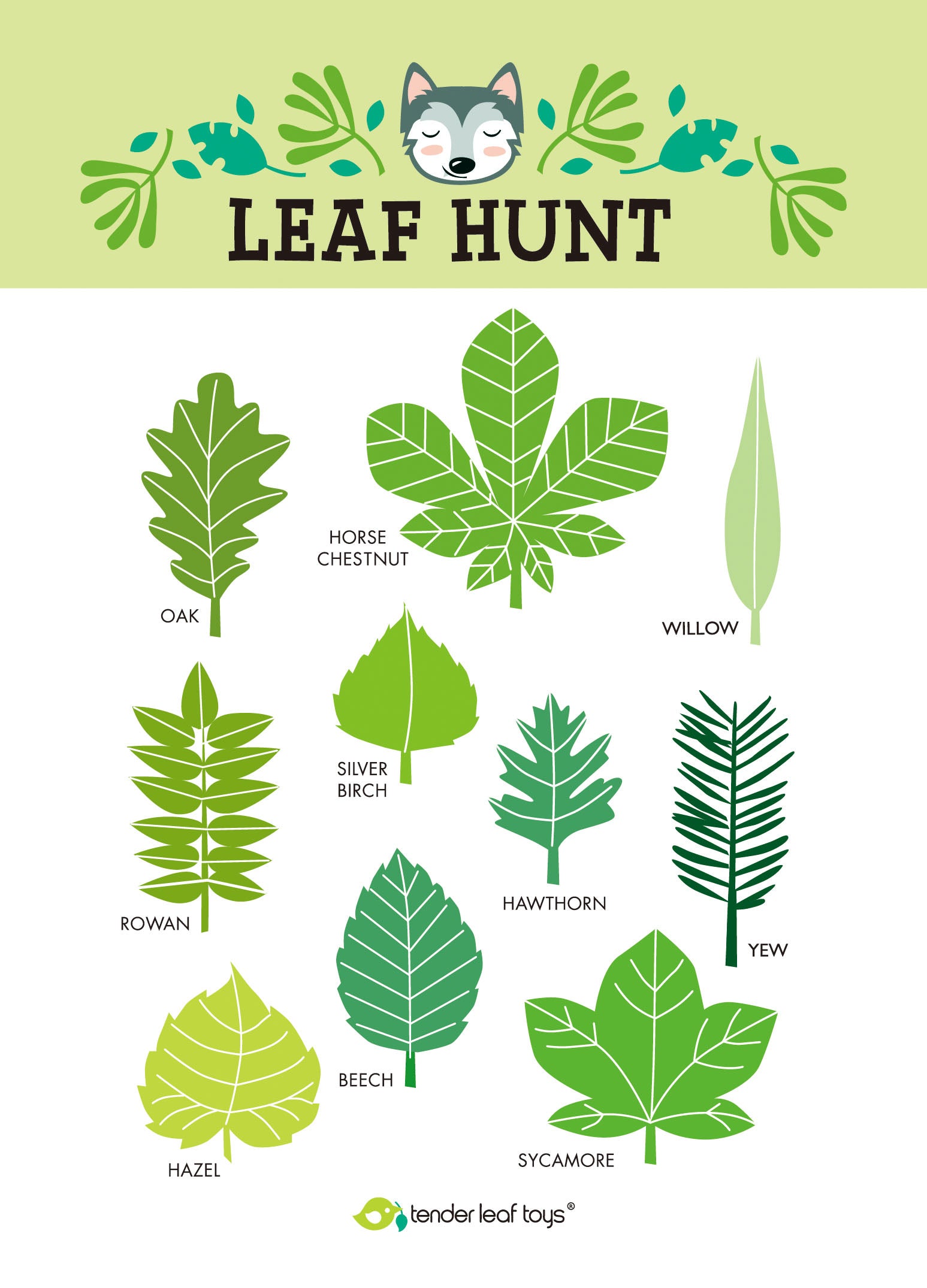 Forest Trail Kit – Tender Leaf