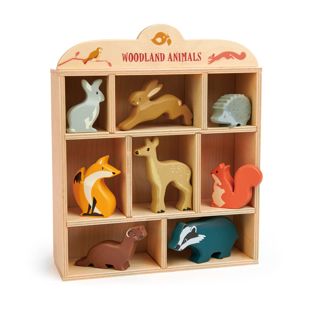 Tender Leaf Toys Animaux: Arche DE NOÉ 38x27x29,5cm, avec M. et Mme Noah et  10 Paires d'animaux, en Bois, en boîte 18x18x38,5cm, 3+